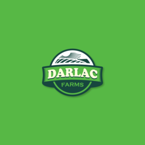 Logo Design by Hunor Kolozsi