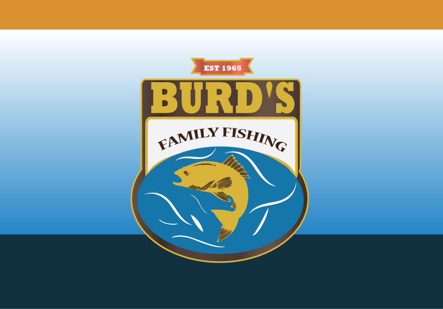 Logo Design by Imagiacian for GSI Solutions | Design #2627034