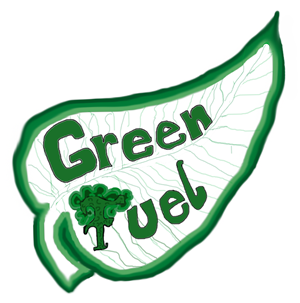 Logo Design by Max 