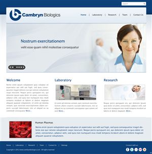 Wordpress Design by pb for this project | Design: #613671