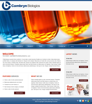 Wordpress Design by pb for this project | Design: #617168