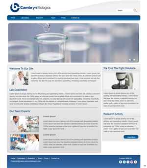 Web Design Project