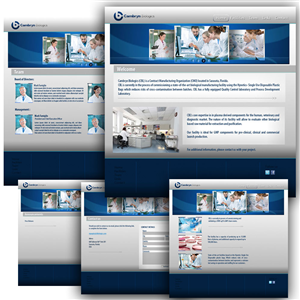 Wordpress Design by Kiwi for this project | Design: #617673