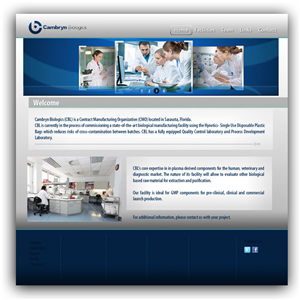 Wordpress Design by Kiwi for this project | Design: #617693