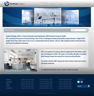 Wordpress Design by Kiwi