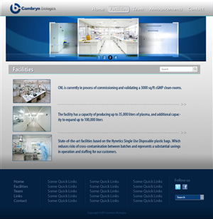 Wordpress Design by Kiwi for this project | Design: #625866