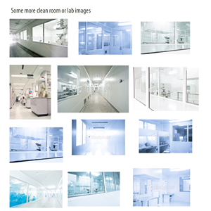 Wordpress Design by Kiwi for this project | Design: #625903