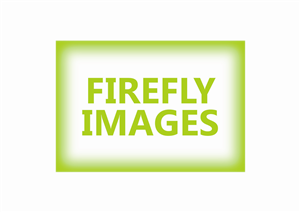 Logo Design by Brushscript for this project | Design: #2644914