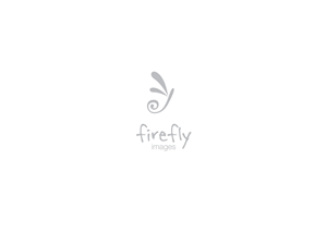 Design de Logo par bluejet pour ce projet | Design #2681136