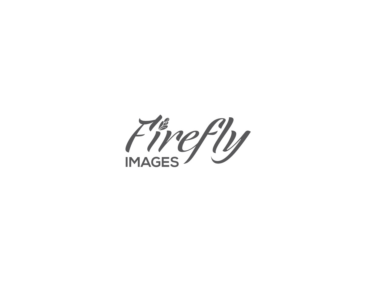 Logo Design by Atvento Graphics for this project | Design #2667009