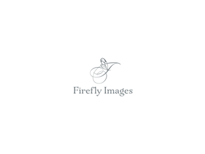Logo Design by Atvento Graphics for this project | Design: #2671150