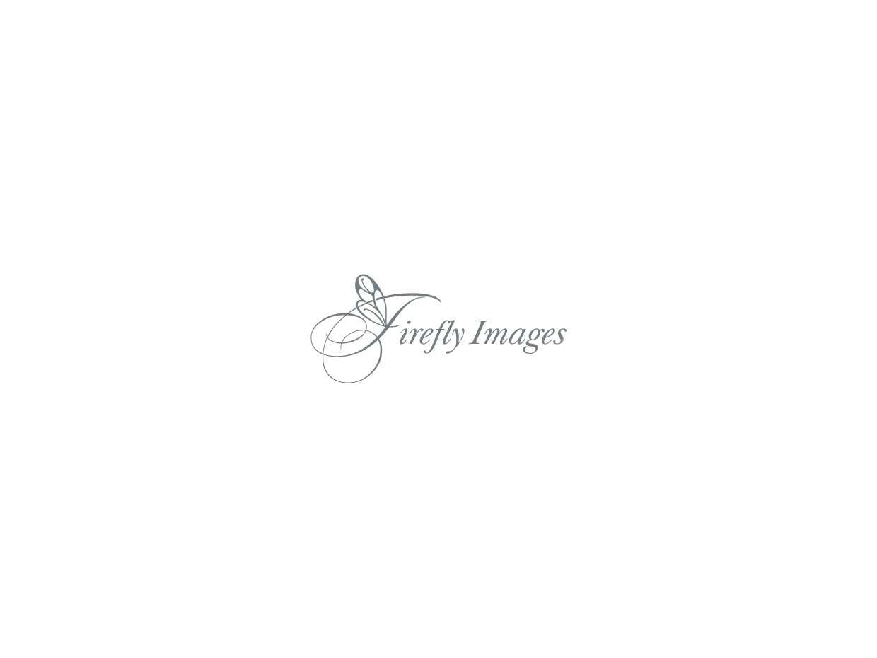 Logo Design by Atvento Graphics for this project | Design #2671152