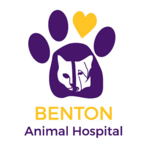 Logo Design by Diana's designs