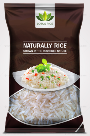 Packaging Design by CENTERSPREAD for Nael & Newk Nutra Health Sdn Bhd | Design: #16089942