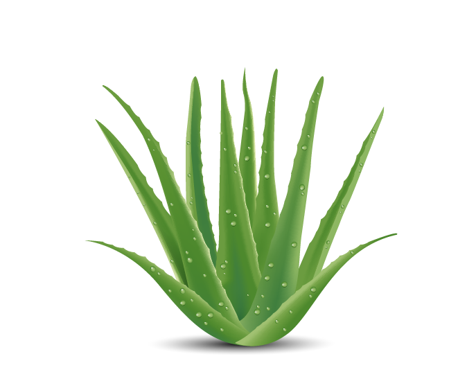 Vector Design by MSMdesigner for this project | Design #15986116