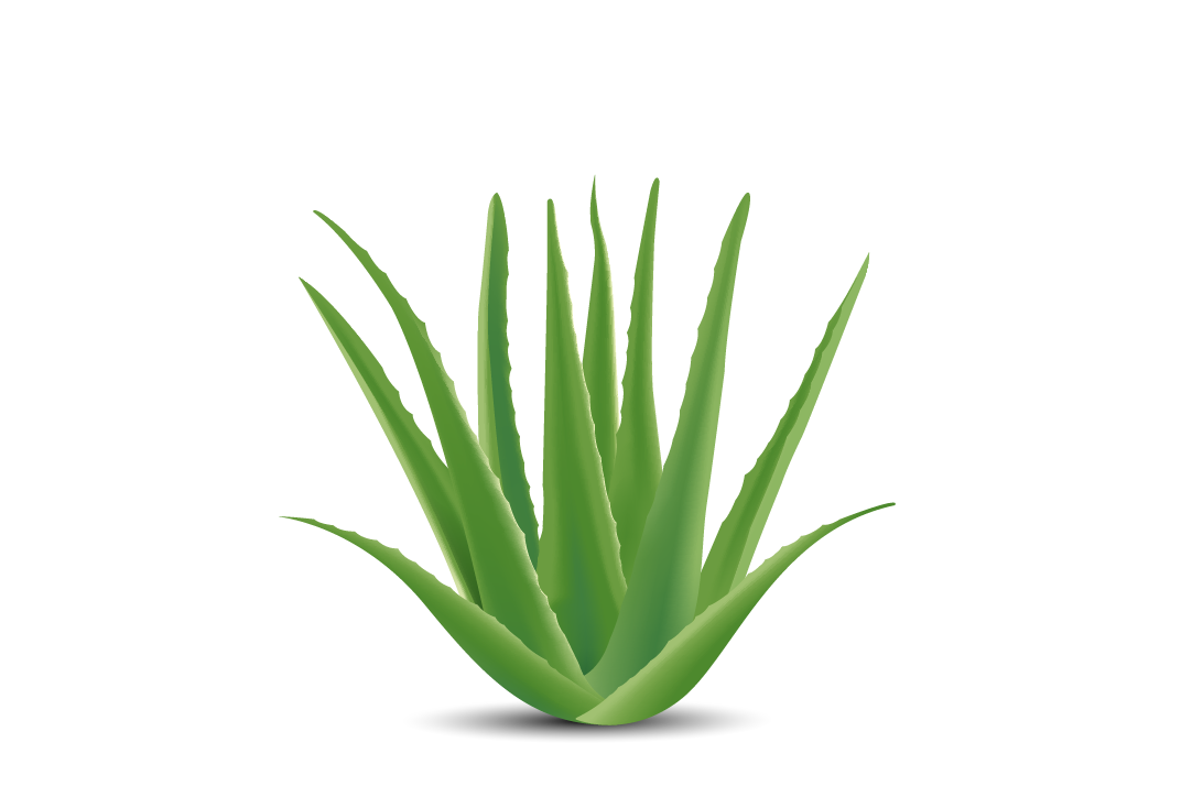 Vector Design by MSMdesigner for this project | Design #15986117