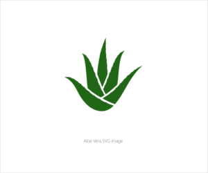 Vector Design by ddsgn for this project | Design: #15990083