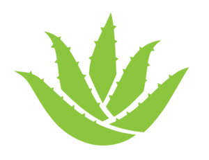 Vector Design by Johnson Designs