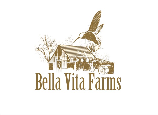 Logo Design by nutu for this project | Design #15990887