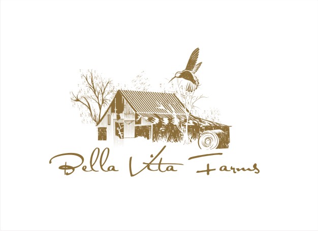 Logo Design by nutu for this project | Design #15998805