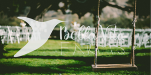 Logo Design by Christy R for this project | Design: #16013798