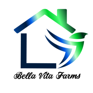 Logo Design by Kofi 2