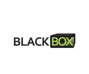 Logo Design by ARIEAL