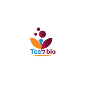 Logo Design by Zion Creatives
