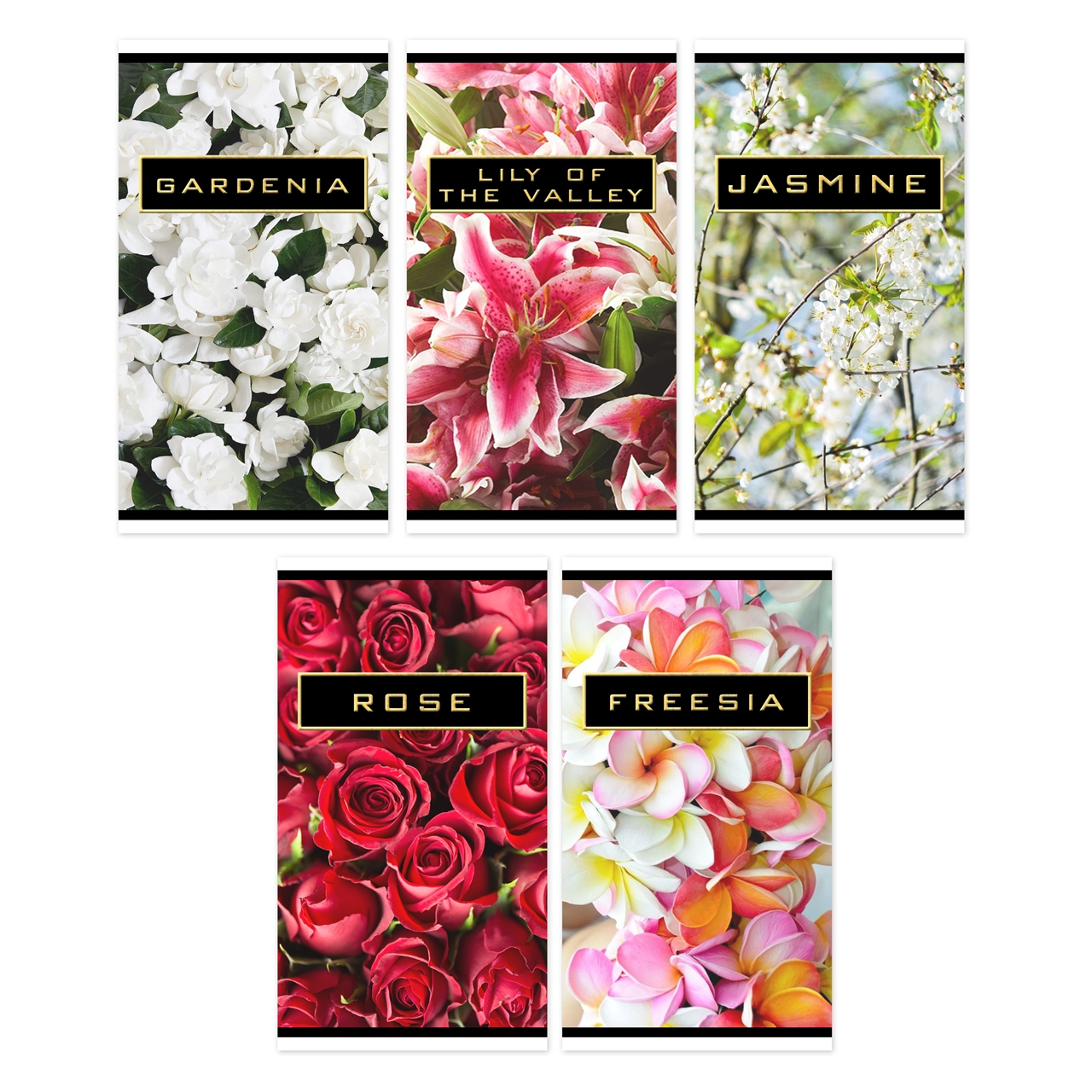 Packaging Design by alexandranique for this project | Design #16527142
