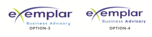 Web Design by Expert Designer for Exemplar Performance Advantage | Design: #16068090