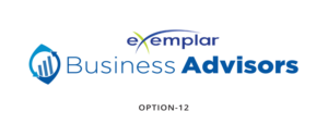Web Design by Expert Designer for Exemplar Performance Advantage | Design: #16081480