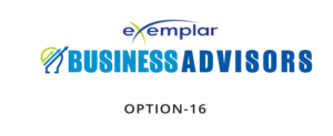 Web Design by Expert Designer for Exemplar Performance Advantage | Design: #16081486