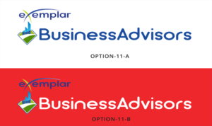 Web Design by Expert Designer for Exemplar Performance Advantage | Design: #16091556