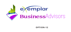 Web Design by Expert Designer for Exemplar Performance Advantage | Design: #16091705
