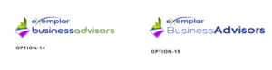 Web Design by Expert Designer for Exemplar Performance Advantage | Design: #16091706