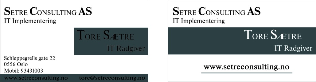 Business Card Design by La Salinja for Setre Consulting as | Design #2636541