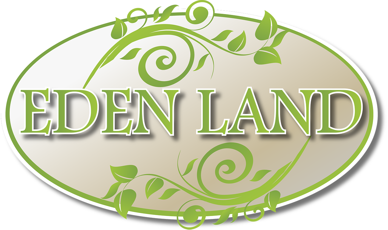 Logo Design by Creative Road Design for this project | Design #2639559