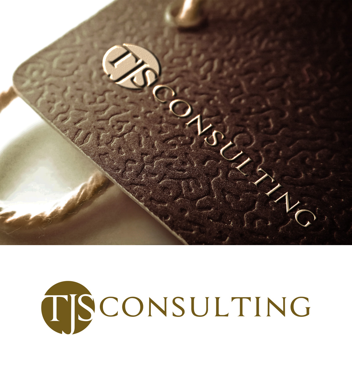 Logo Design by Impressive Solutions for TJS Consulting | Design #16018531