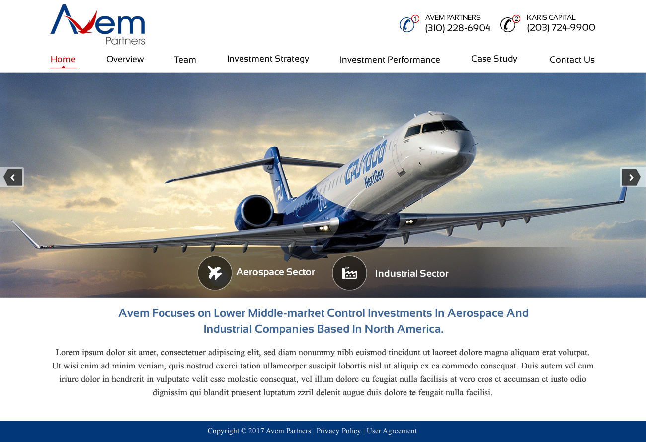 Web Design par HarmiDesigning pour Avem Partners | Design #16255572