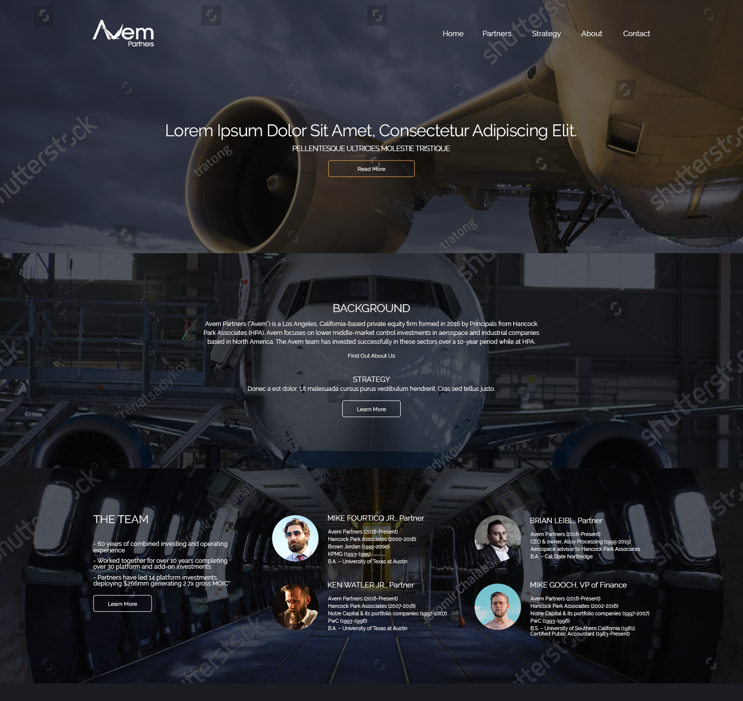 Web Design by ryanshakotko for Avem Partners | Design #16051386