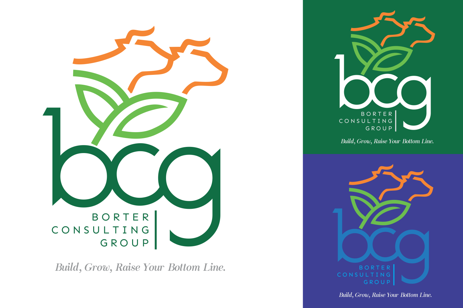 Logo Design by Gigih Rudya for Borter Consulting Group | Design #16076427