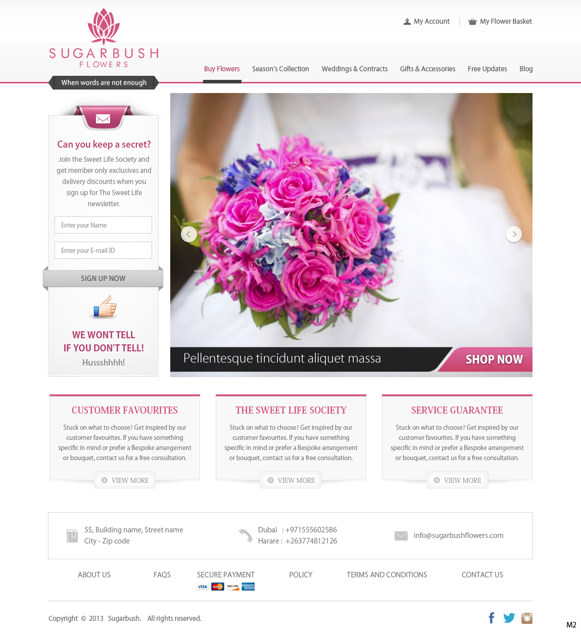 Wordpress Design by pb for this project | Design #2658595