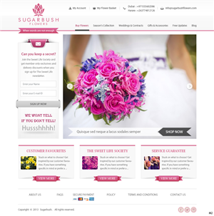 Wordpress Design by pb for this project | Design: #2699933