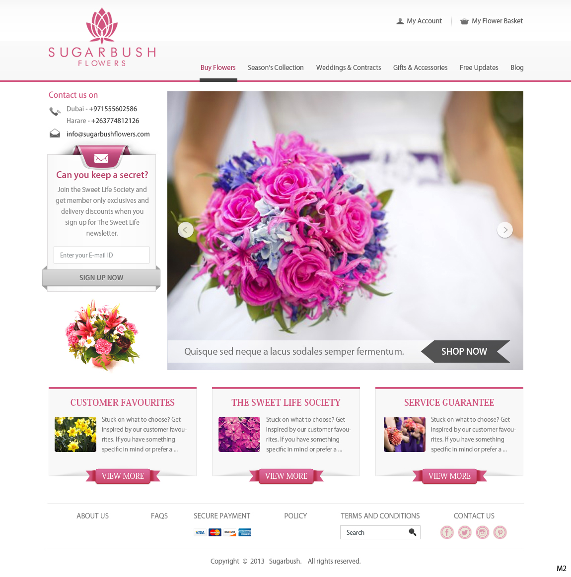 Wordpress Design by pb for this project | Design #2711168