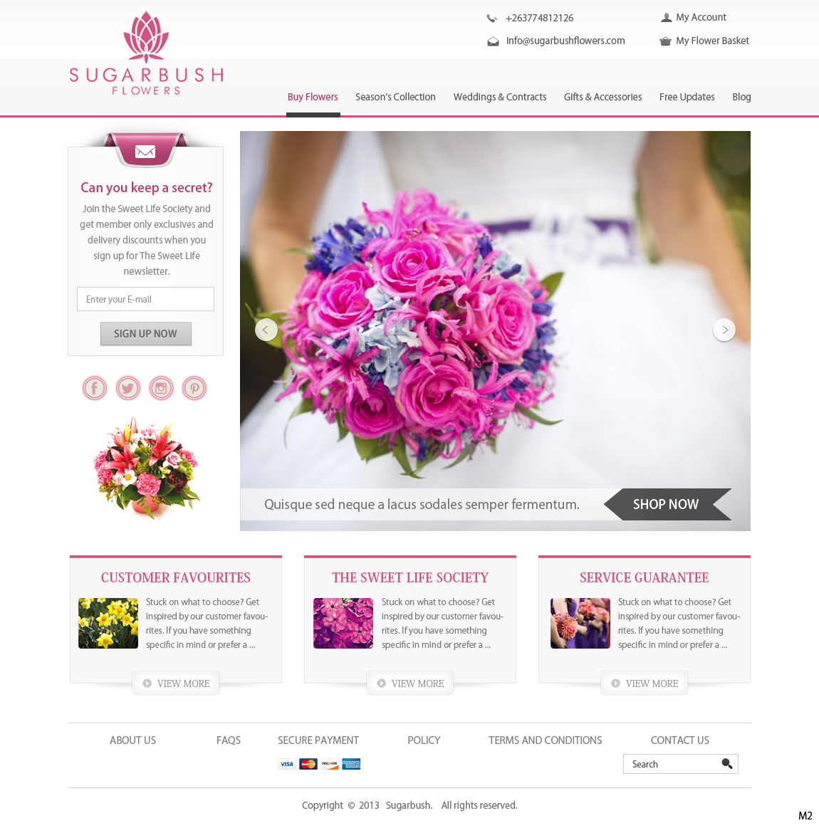 Wordpress Design by pb for this project | Design #2711170