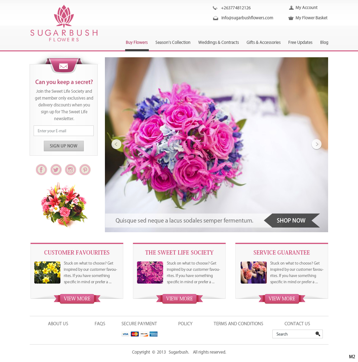 Wordpress Design by pb for this project | Design #2711171