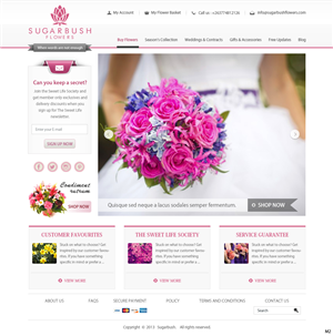 Wordpress Design by pb for this project | Design: #2720510