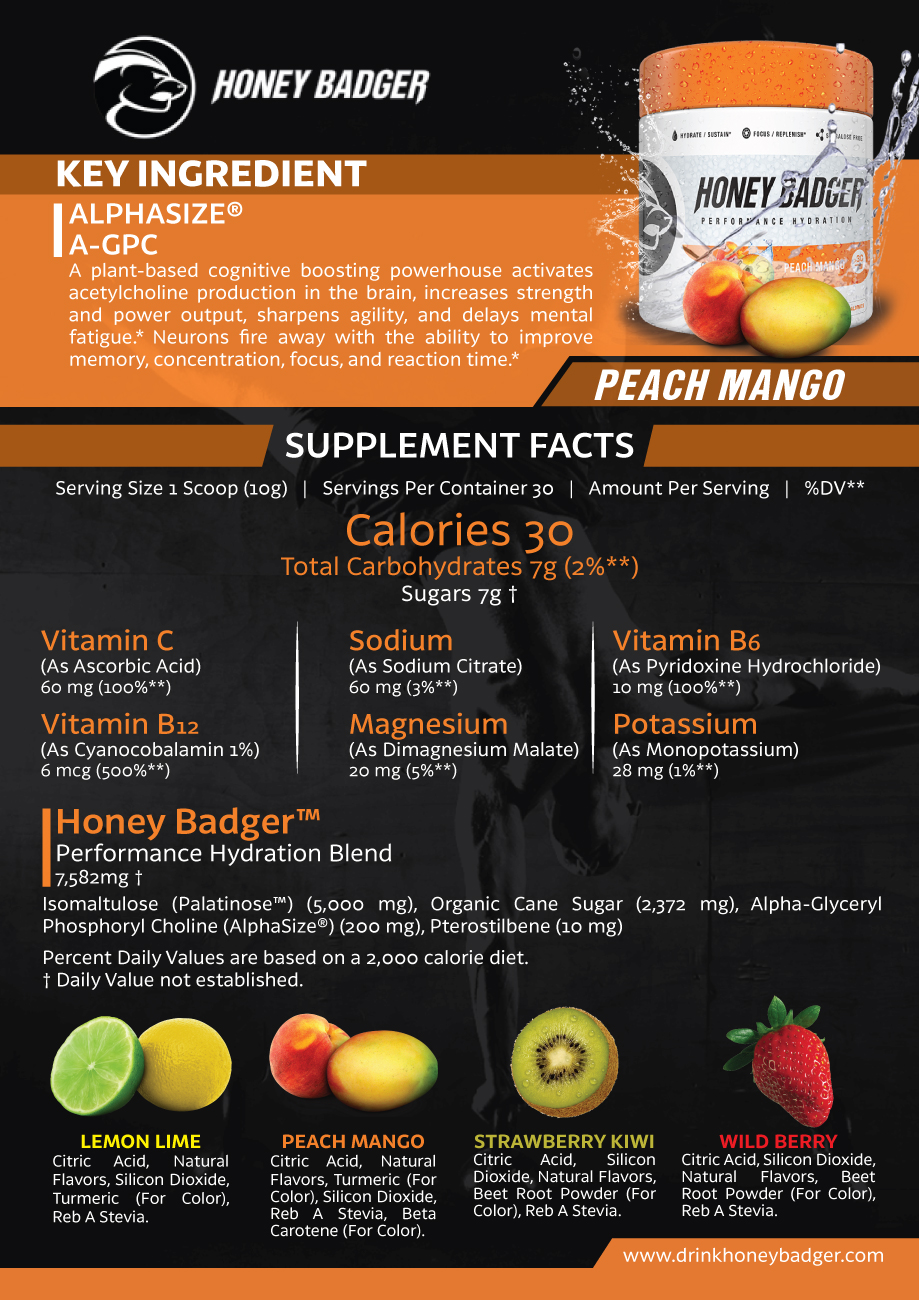 Diseño de Brochure por Impressive Sol para Honey Badger, LLC | Diseño #16009741