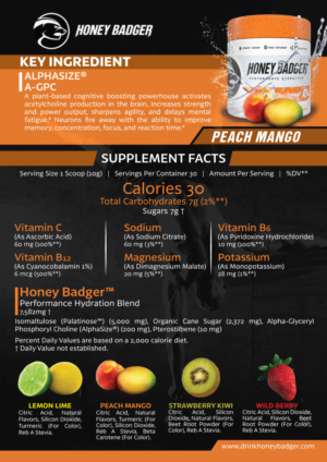 Brochure Design by Impressive Sol