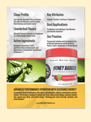 Diseño de Brochure por LeonFX para Honey Badger, LLC | Diseño: #16022782